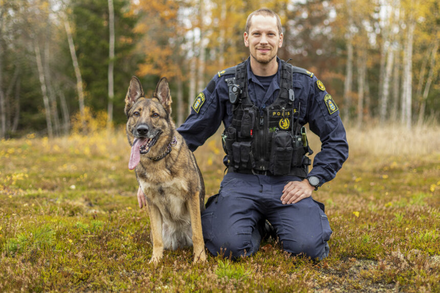 Årets polishund Lundy bekämpar gängkriminalitet